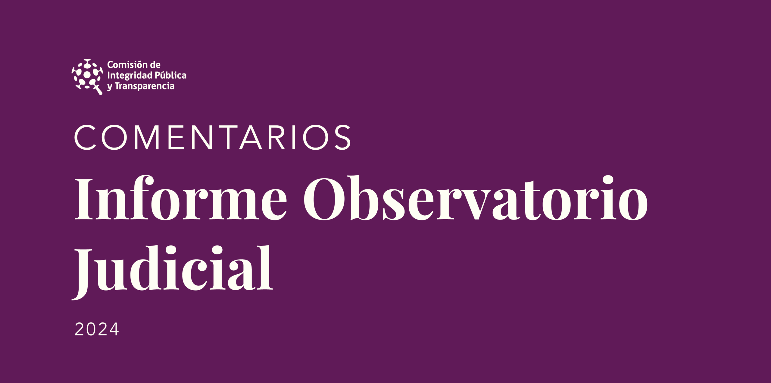 Comentarios Informe Observatorio Judicial
