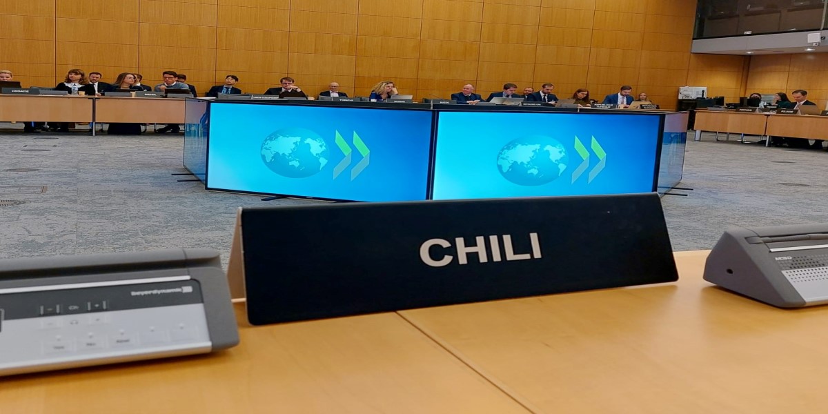 Secretaria Ejecutiva participó en reunión de Grupo de Trabajo de Altos Funcionarios de Integridad de la OCDE