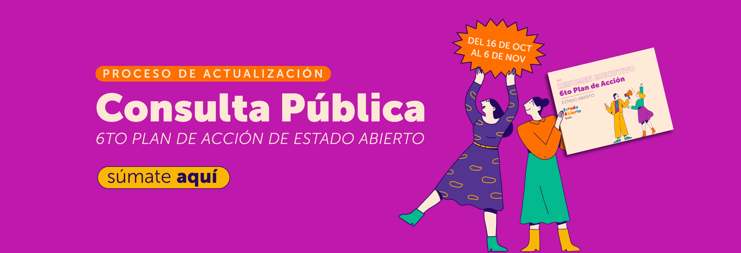 Consulta Pública Estado Abierto